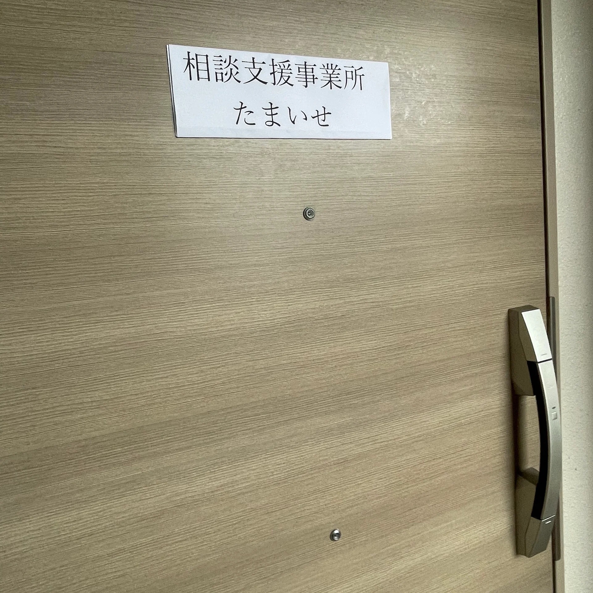 1. サービス等利用計画書の作成（計画相談支援）